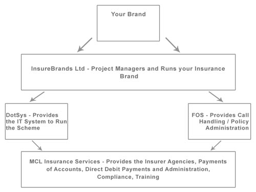 What InsureBrands Provide